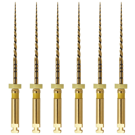 ACCESS - Go-Taper Flex Rotary Files: 25mm - Size B1