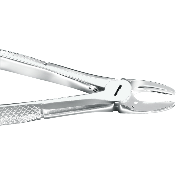 Perfection Plus Extraction Forceps - Pattern No.29