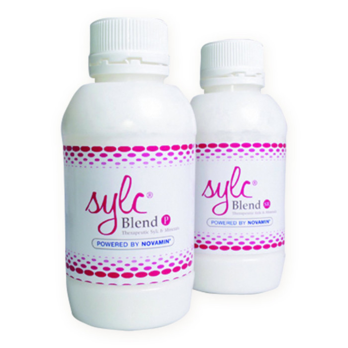 Sylc Blend Prophy Powder - Polishing