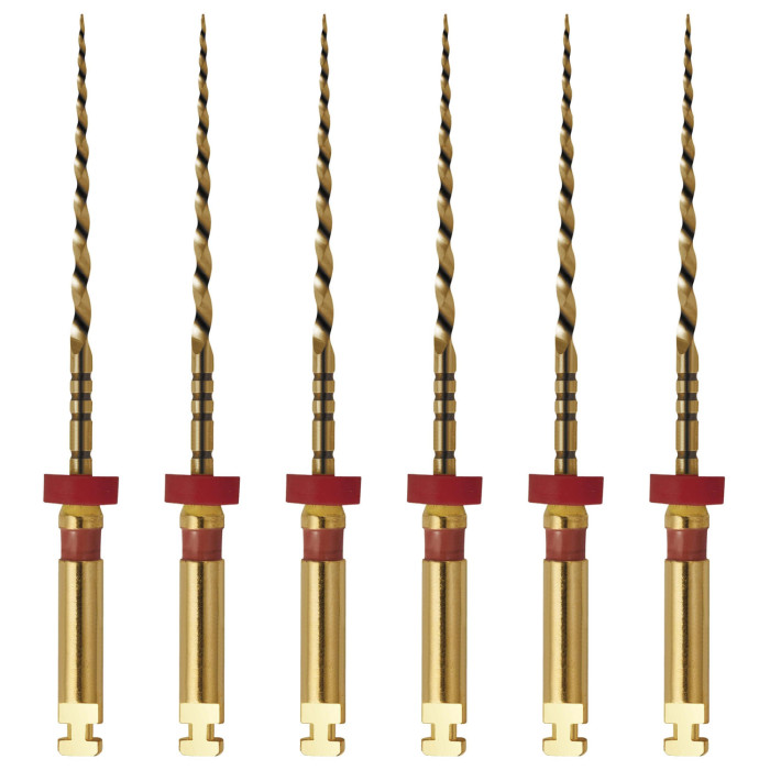 Access Go-Taper Flex NiTi Endo Files: 25mm - Size B2 (6)