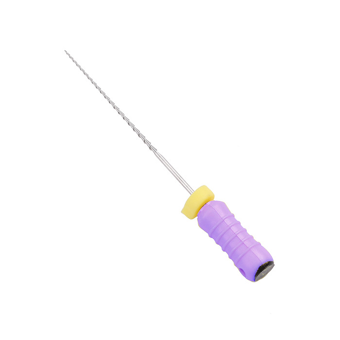 Access Dental H Files: 21mm - ISO 10 (6)