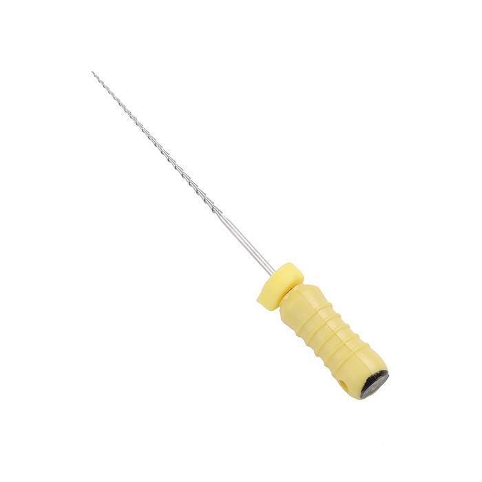 Access Dental H Files: 31mm - ISO 20 (6)