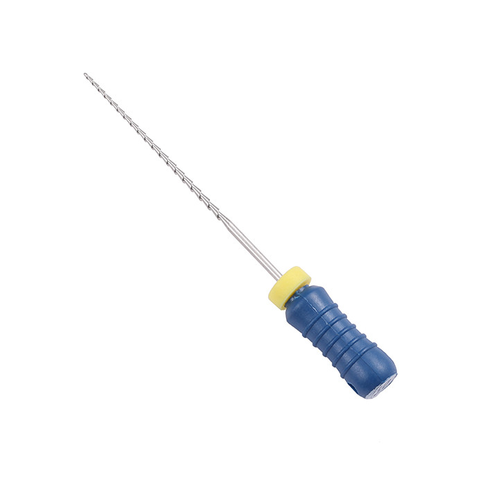 Access Dental H Files: 31mm - ISO 30 (6)