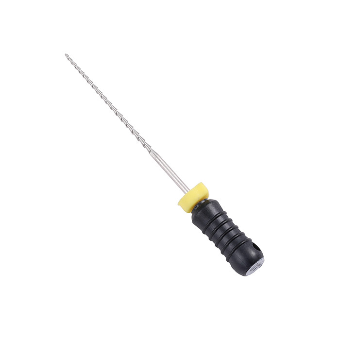 Access Dental H Files: 31mm - ISO 40 (6)
