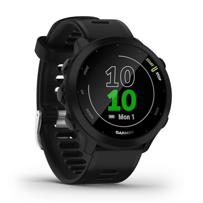 Garmin Forerunner 55 Smartwatch