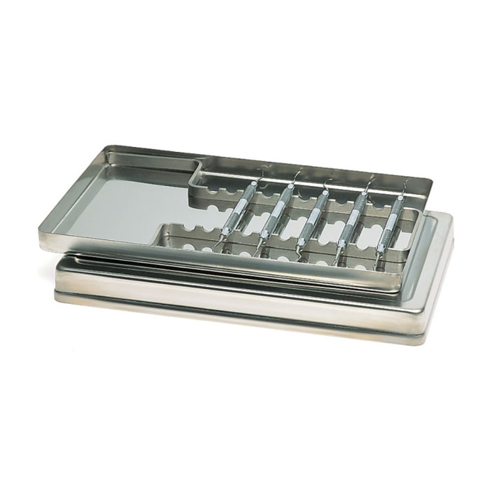 Nichrominox Stainless Steel Instrument Tray: 28x18cm