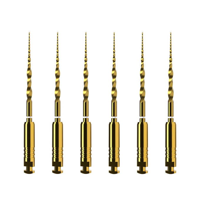 ProTaper Ultimate NiTi Rotary Files: 19mm - SX (6)
