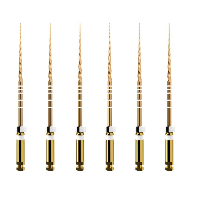 ProTaper GOLD NiTi Rotary Files: S2 25mm (6)