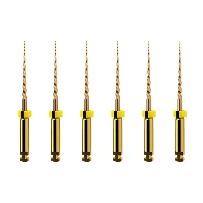 ProTaper GOLD NiTi Rotary Files: SX 19mm (6)