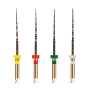EASY-FILE FLEX: 21mm - Assorted (4)