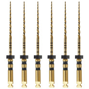 Go-Taper Flex Rotary Files: 31mm - Size B4