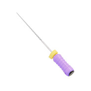 Access Dental H Files: 25mm - ISO 10 (6)