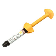 Filtek P60 - 4g syringe (B2)