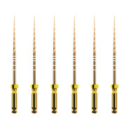ProTaper GOLD: F1 21mm