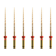 ProTaper GOLD: F2 31mm