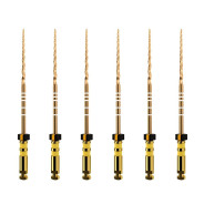 ProTaper GOLD: F5 21mm