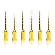 ProTaper Hand Use: Finishing File - 31mm F1