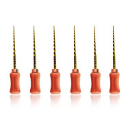 ProTaper Hand Use: Finishing File - 21mm F2