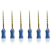 ProTaper Hand Use: Finishing File - 25mm F3