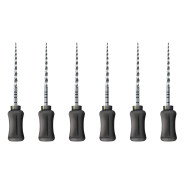 ProTaper Hand Use: Shaping File - 21mm F4