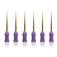 ProTaper Hand Use: Shaping File - 31mm S1