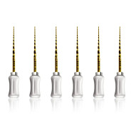 ProTaper Hand Use: Shaping File - 25mm S2