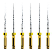 ProTaper Next - X1 File - Pack of 6