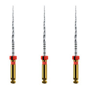 ProTaper Next X2 File - Pack of 3
