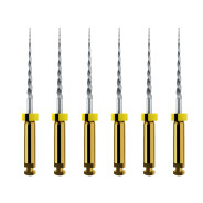ProTaper Next: XA Opener - 19mm (6)
