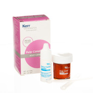 Pulp Canal Sealer Kit 