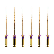 ProTaper GOLD: S1 31mm