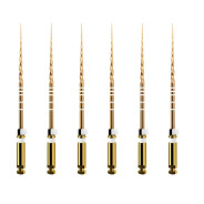 ProTaper GOLD: S2 31mm