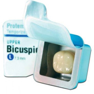 Protemp Crown Refill - Bicuspid Upper Large (5)