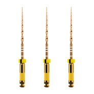 WaveOne GOLD: Small - 31mm (3)