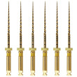 ACCESS - Go-Taper Flex Rotary Files: 25mm - Size B1
